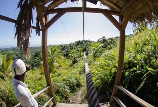 Top Zipline Activity Tour in Samana Dominican Republic