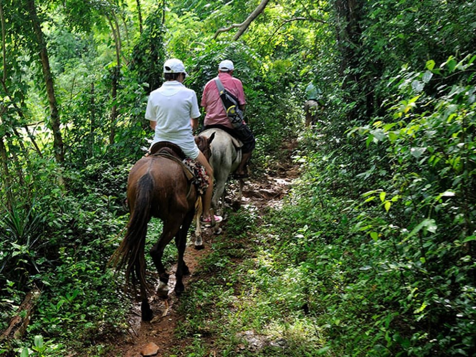 Horseback Riding Limon Waterfall Samana Dominican Republic