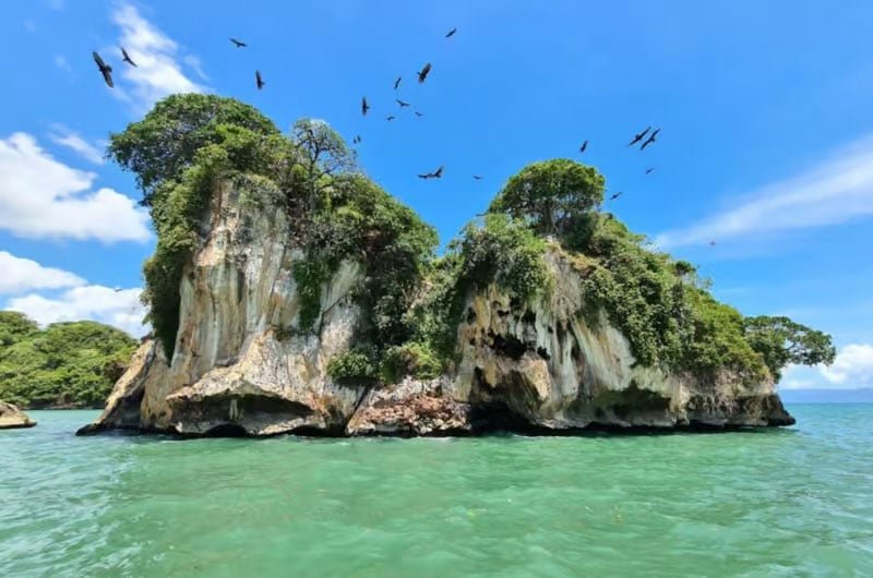 Los Haitises National Park Tour from Samana Dominican Republic.