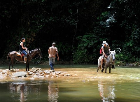 Horseback Riding at Limon Waterfall in Samana Dominican Republic