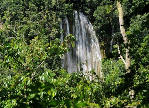 Salto Limon Waterfall Tour in Samana Dominican Republic