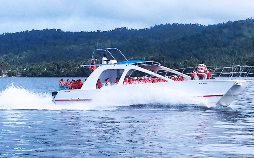 Humpback Whale Watching Tour in Samana Dominican Republic.